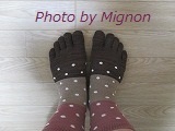 IMG_0203.jpg