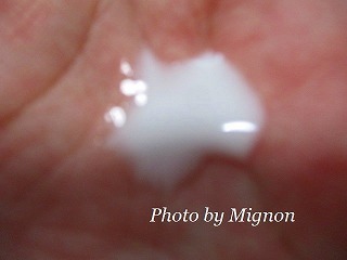 IMG_4933.jpg