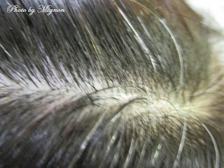 s-IMG_2027.jpg